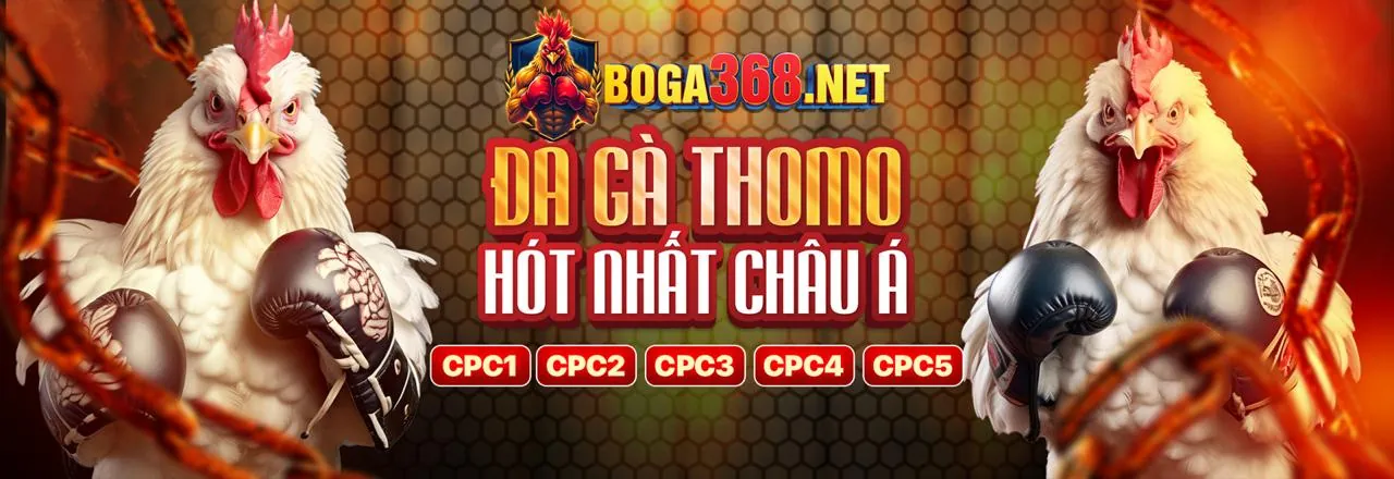 Đá Gà Trực Tuyến Hấp Dẫn tại b123b com